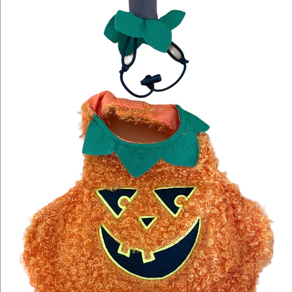 Pet Jack O Lantern Costume